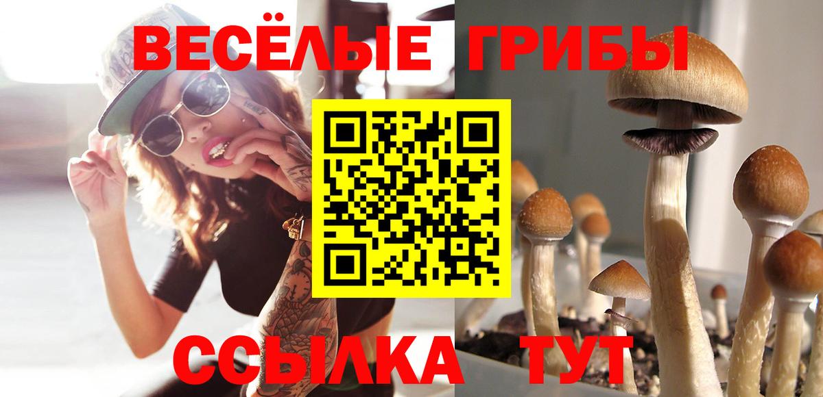 Химки  Псилоцибиновые грибы Psilocybe  Псилоцибиновые грибы MAGIC MUSHROOMS  Вход с VPN 